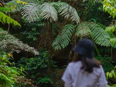 -赤水丹霞旅游区·佛光岩