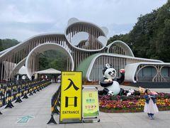 -都江堰中华大熊猫苑