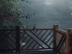 -南山植物园