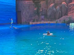 -芜湖新华联大白鲸海洋公园