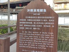-云中大漈