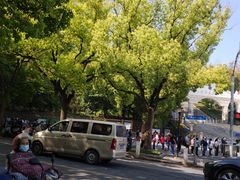 -上海佘山国家森林公园西佘山园