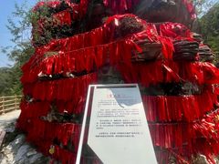 -北京乐谷