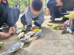 -北戴河集发农业梦想王国