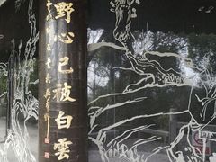 -上海佘山国家森林公园天马山园