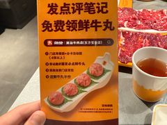 -潮发潮汕牛肉店(东方宝泰店)