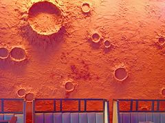 -胖子烧烤海鲜(亲贤北街店)