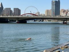 -天津之眼摩天轮