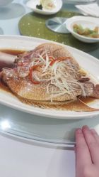 -新锦江大酒店·宴会厅·婚宴