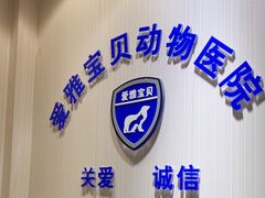 -中农大我爱我爱24h动物医院·中医针灸·猫专科·骨科医疗中心(双井店)
