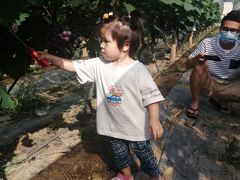 -麦园农庄·西江河鲜