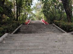 -东莞市虎英郊野公园