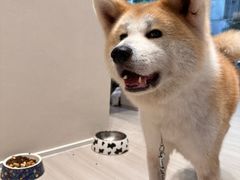 -YCHL Studios健身工作室(市二宫店)