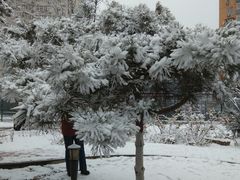 -半天妖烤鱼(方庄店)