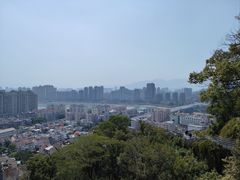 -福道