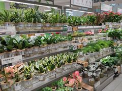 -鹿岛生活(熙地港店)