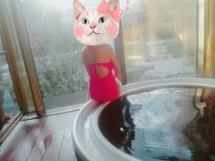 -春晖园度假酒店温泉