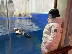 -太平洋海底世界