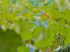 -丝绸小镇荻港古村