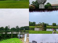 -良渚古城遗址公园