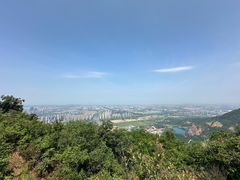 -树山生态村