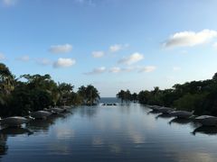 -亚龙湾喜来登·美景台大堂吧