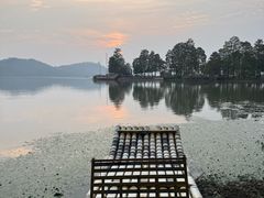 -东湖落雁景区