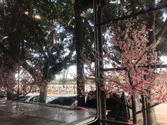 -花好悦园(瀛洲店)