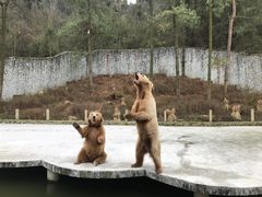 -贵州森林野生动物园