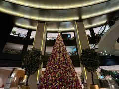 -皇朝尊会(龙之梦大酒店)