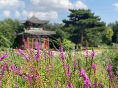 -黑龙江省森林植物园