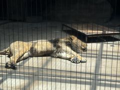 -鄂尔多斯野生动物园