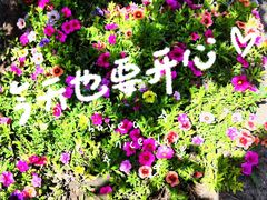 -永定河休闲森林公园