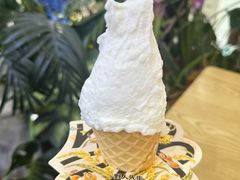 -野人先生Gelato(上海长宁龙之梦店)