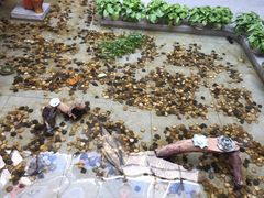 -桃苑居阳澄湖·蟹千恩(美人腿店)