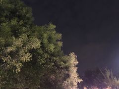 -徐家汇源景区-衡山坊