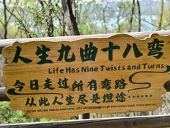 -天目湖山水园