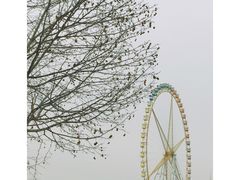 -石家庄市动物园