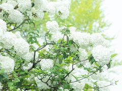 -大龙山(地铁站)