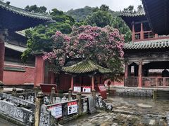 -报恩寺(平武县)