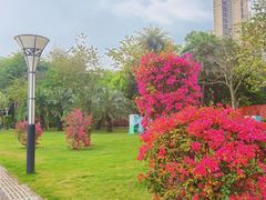 -文华公园(禅城区)