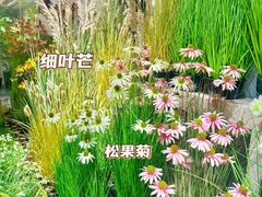 -西北轻工批发市场