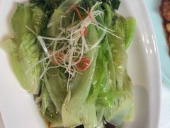 白灼罗马生菜-惠丰堂饭庄·烤鸭·京味菜(民族大学店)