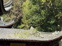 -韬光茶庵