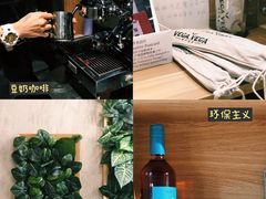 -VEGA VEGA 我行我素