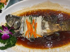 清蒸老虎斑-小贝壳酒楼(经九路店)