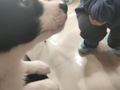 -汪说·狗咖(旺城大厦店)