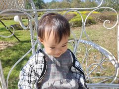 -福建鲤鱼洲酒店