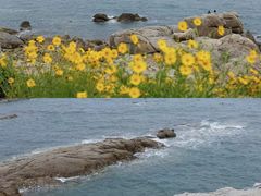 -青岛海滨风景区