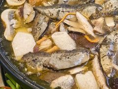 -草墩罗非鱼庄•野生菌•腊排骨(七星街上段店)